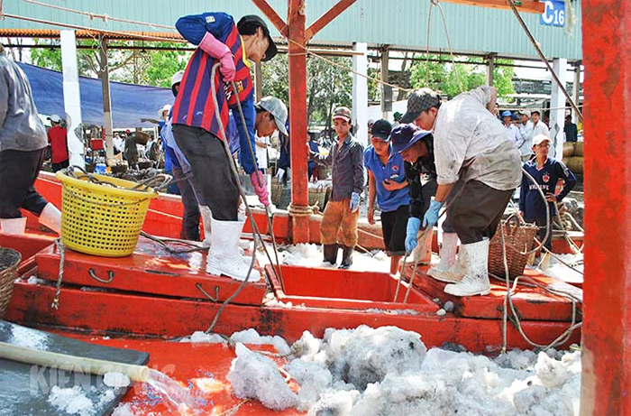 Chống khai thác IUU, ngư dân phải hành động ngay